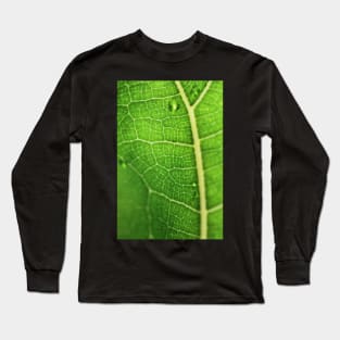 Fiddle Leaf Ficus Long Sleeve T-Shirt